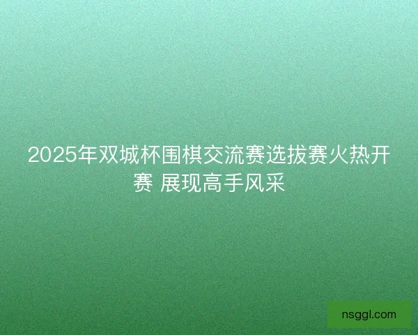 2025年双城杯围棋交流赛选拔赛火热开赛 展现高手风采